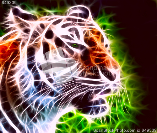 Image of Snarling tiger
