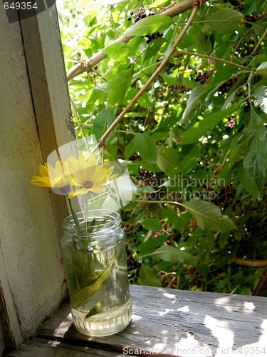 Image of flowers