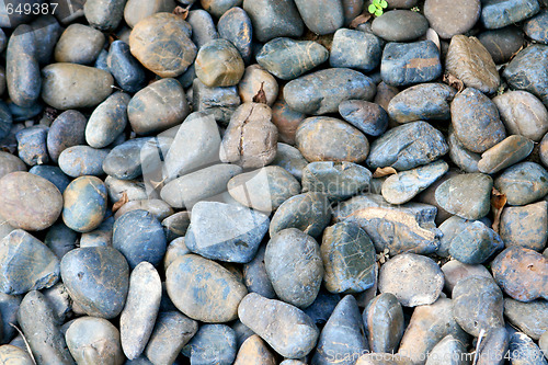 Image of Rocks