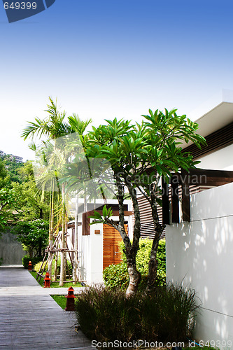 Image of House and garden.