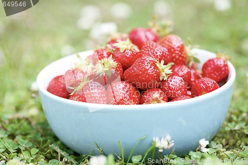 Image of Fresh strawberries in a bowl.