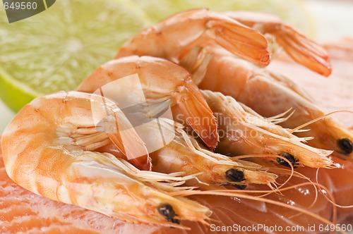 Image of Prawn