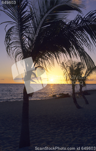 Image of Sunset - Bayahibe - Dominican republic