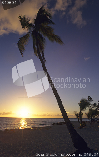 Image of Sunset - Bayahibe beach - Dominican republic