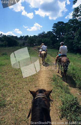 Image of Overview horse riding  in Dominican republic