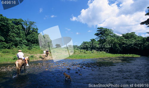 Image of Horse riding crossing a river  in Dominican republic