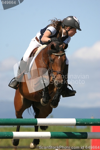 Image of Show jumper