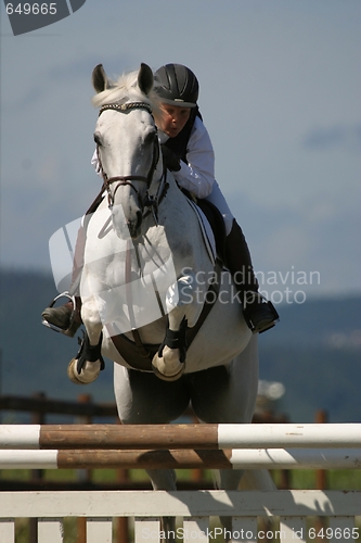 Image of Horse and rider