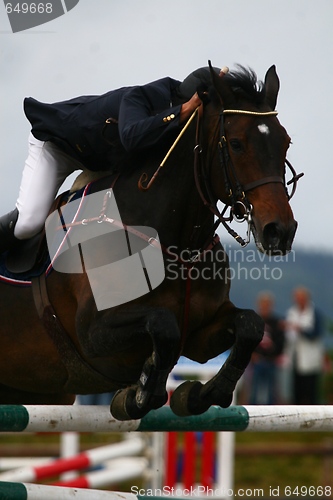 Image of Horse jumping