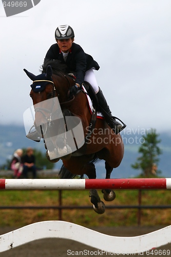 Image of Horse and rider