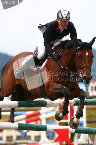 Image of Show jumper