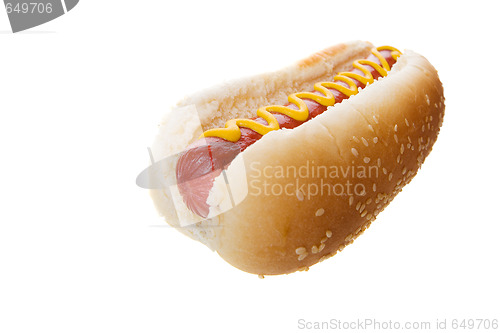 Image of Large hot dog