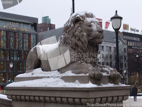 Image of The norwegian lion