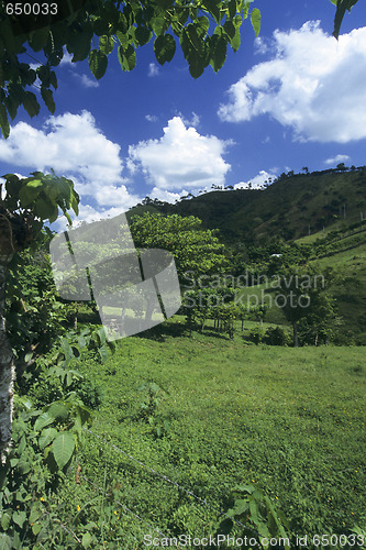 Image of Green meadow in Dominican republic 