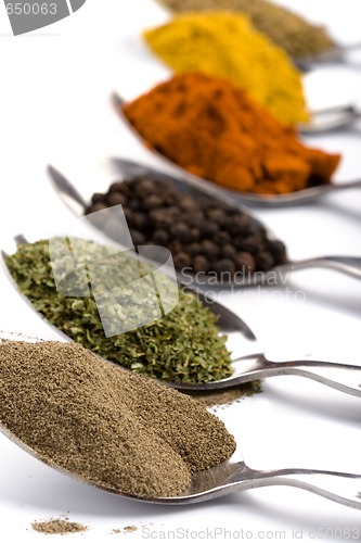 Image of various ground spices