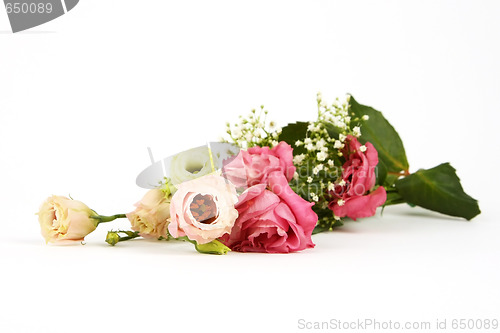 Image of Roses