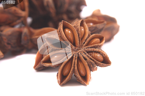 Image of anise