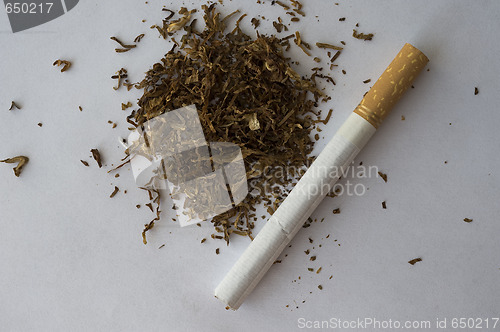 Image of Cigarette and tobacco