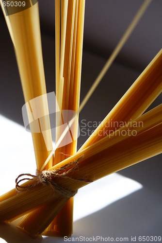 Image of spaghetti4