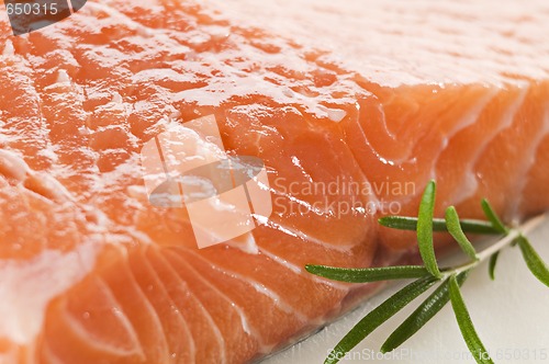Image of Salmon