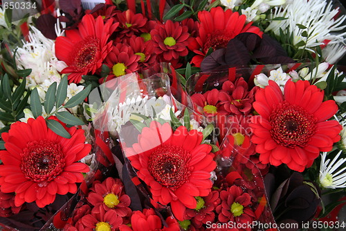 Image of Flower Market in Sweden