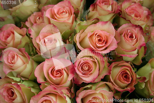 Image of Flower Market in Sweden