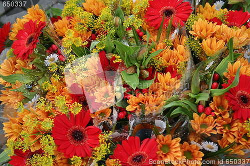 Image of Flower Market in Sweden