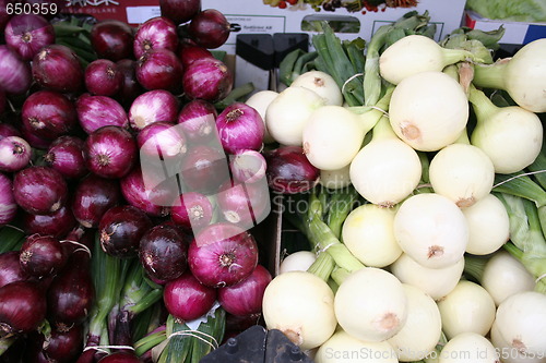 Image of Onions in Market stall