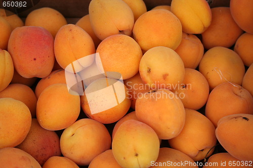 Image of Apricots at Market place