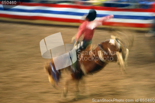 Image of Rodeo