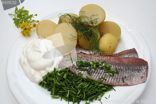 Image of Swedish Midsummer dish