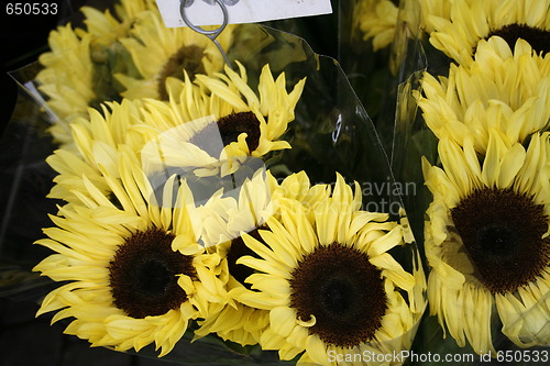 Image of Sunflower for sale at Market place