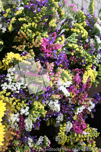 Image of Flower Market in Sweden