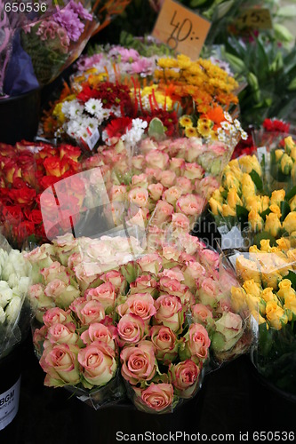 Image of Flower Market in Sweden