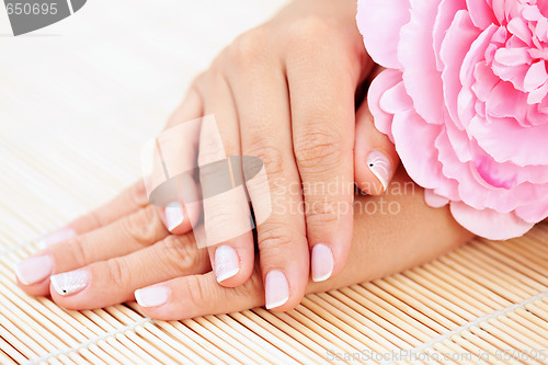 Image of beautiful female hands