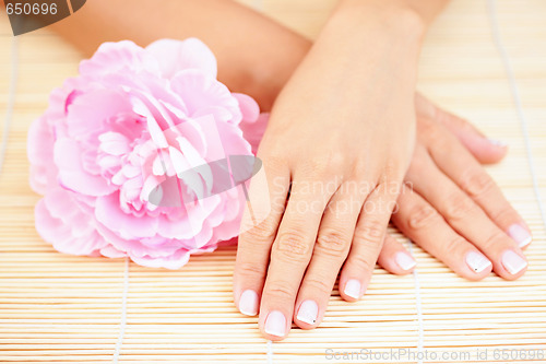 Image of beautiful female hands