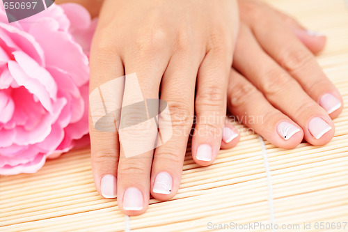 Image of beautiful female hands