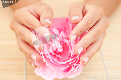 Image of beautiful female hands