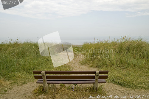 Image of An empty bench in the dunes looking out to sea