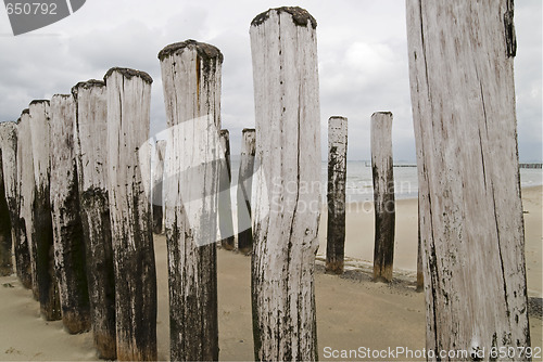 Image of Groynes on dutch beach