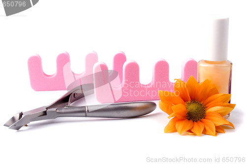 Image of pedicure beauty set