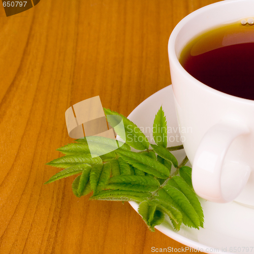 Image of cup of black tea