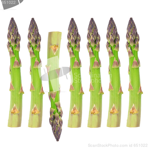 Image of Fresh Asparagus