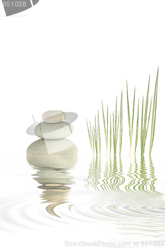 Image of Pebbles and Bamboo Grass 