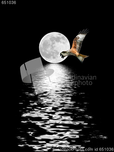 Image of Eagle Flyng at Full Moon