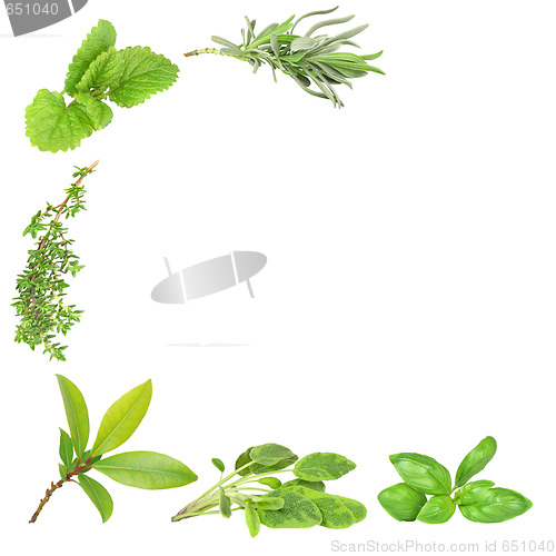 Image of Herb Varieties