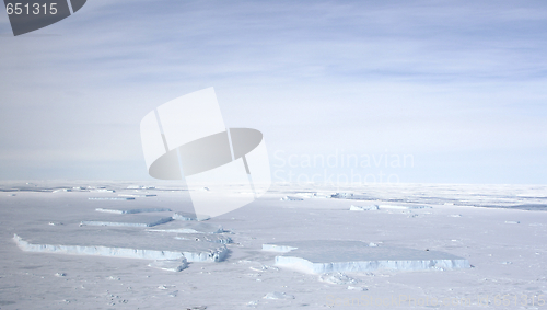 Image of Sea ice on Antarctica