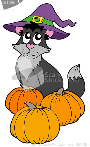 Image of Cat with hat and pumpkins