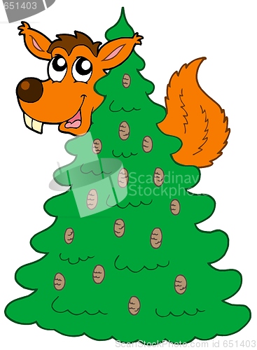 Image of Squirrel on coniferous tree