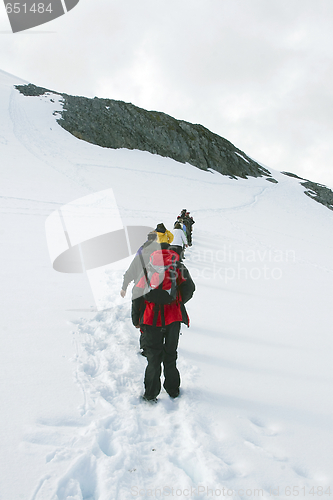 Image of Tourists on the Antarctic Peninsula